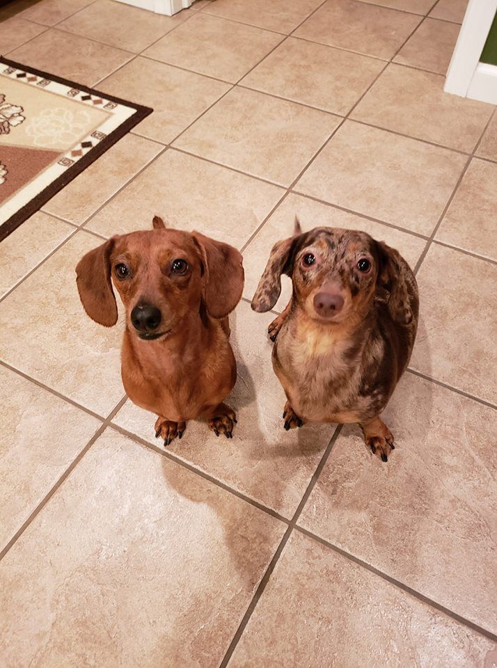 Remi and Sammi - Amber Clampitt.jpg